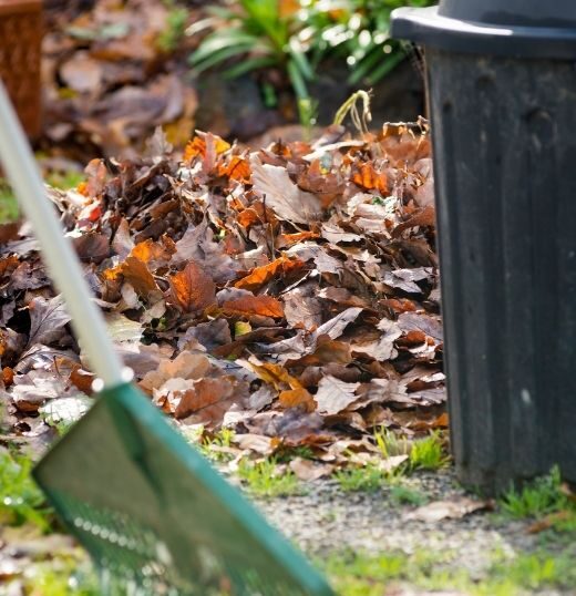 yard waste removal in Monroeville